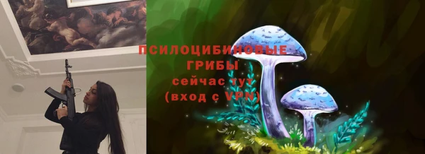 твердый Верхний Тагил