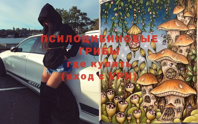 MEGA как зайти  Полевской  Галлюциногенные грибы Magic Shrooms  купить наркотики сайты 